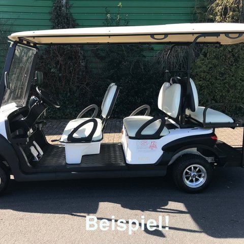 Bensel BSN4FF 6 Sitzer Alufelgen