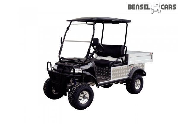 Gelände Golfcart mit Ladefläche 2 Pers.