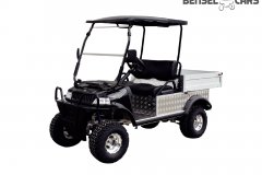 Gelände Golfcart mit Ladefläche 2 Pers.