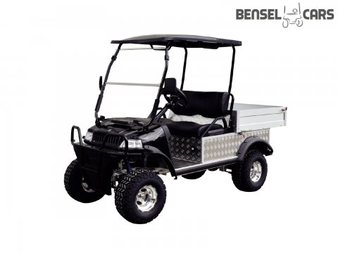 Gelände Golfcart mit Ladefläche 2 Pers.