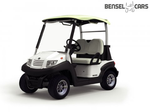 Golfcart mit Golftaschen-Halter 2 Pers.
