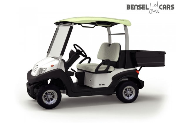 Golfcart mit Ladefläche 2 Pers.