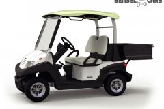 Golfcart mit Ladefläche 2 Pers.