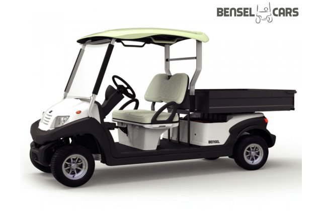 Golfcart mit großer Ladefläche 2 Pers.