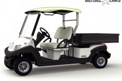 Golfcart mit großer Ladefläche 2 Pers.