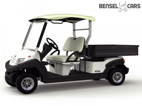 Golfcart mit großer Ladefläche 2 Pers.