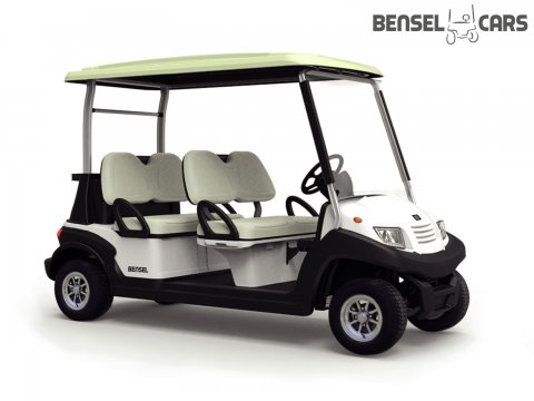 Golfcart mit Golftaschen-Halter 2 - 4 Pers.