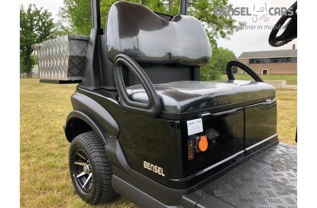 Golfcart mit Ladefläche 2 Pers.