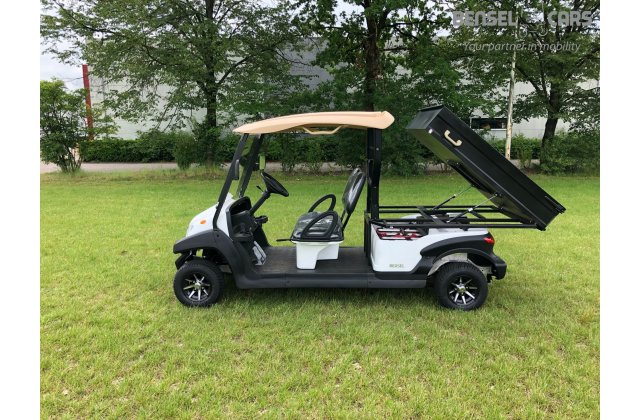 Golfcart mit großer Ladefläche 2 Pers.