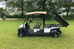 Golfcart mit großer Ladefläche 2 Pers.