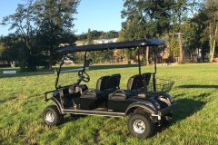 Hochgelegtes Golfcart 4 Pers.