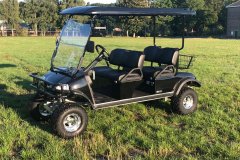 Hochgelegtes Golfcart 4 Pers.