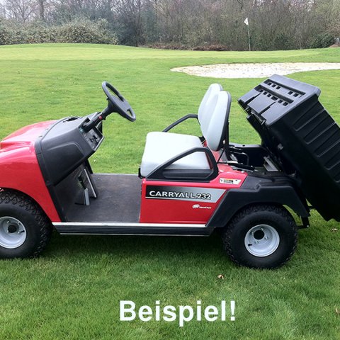 Carryall Golfcart 2-Sitzer