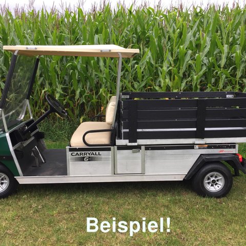 Club Car Carry All langer Radstand