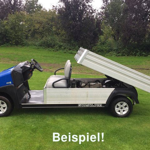 Carryall eNutzfahrzeug ohne Dach